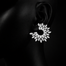 Crystal leaf Earings